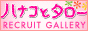 �n�i�R�ƃ^���[